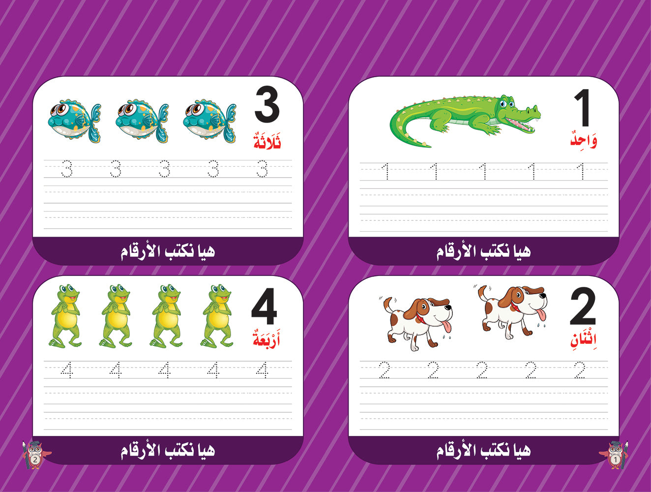 صفحات الأرقام النظام الجديد